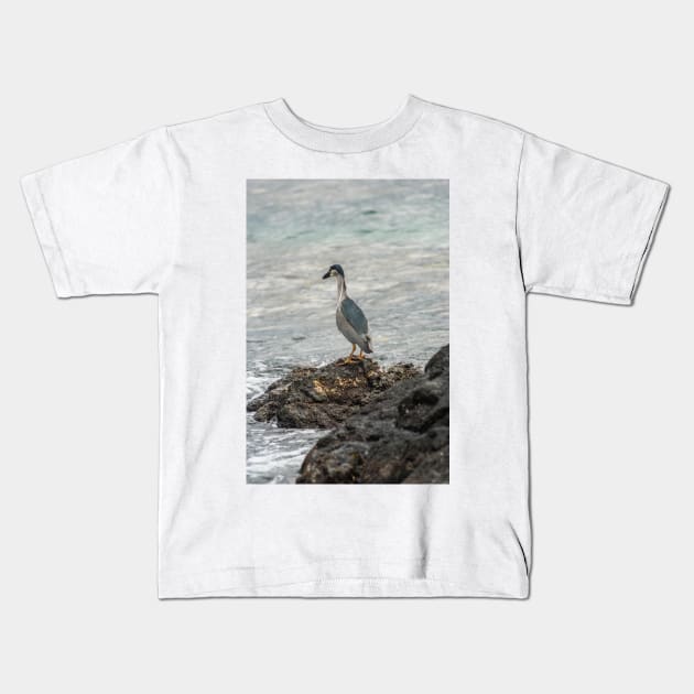 Black-crowned night heron of hawaii 7 Kids T-Shirt by KensLensDesigns